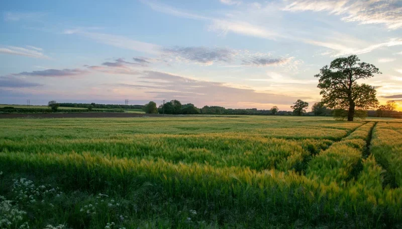 What is the Taskforce on Nature-related Financial Disclosures (TNFD)?