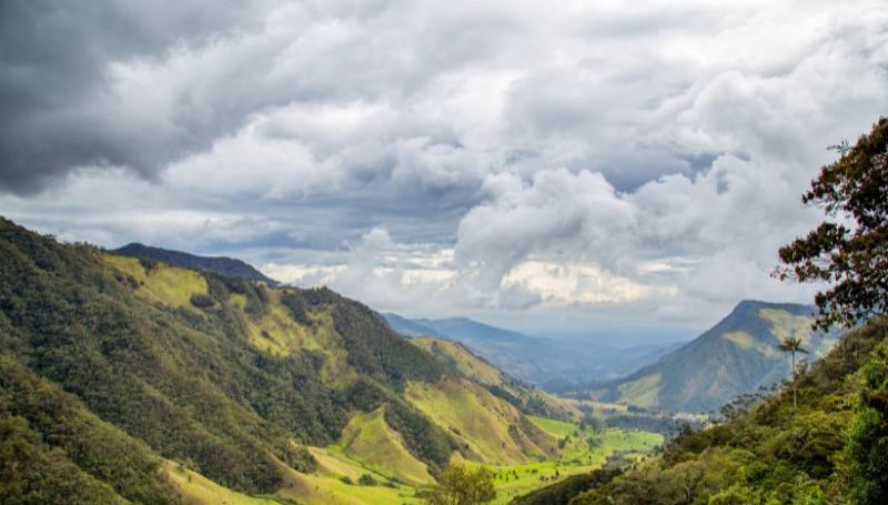 COP16: Peace with Nature launches 21 October