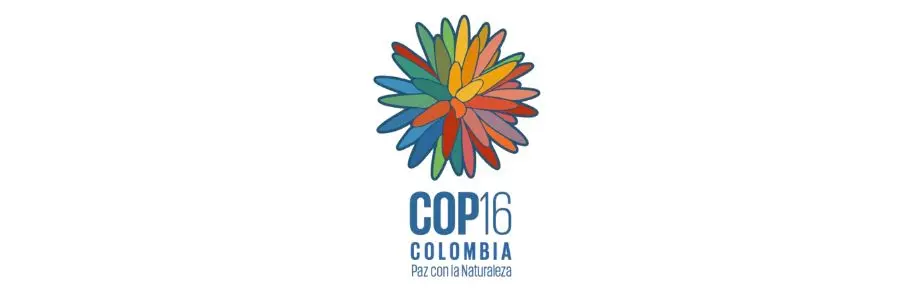 COP16